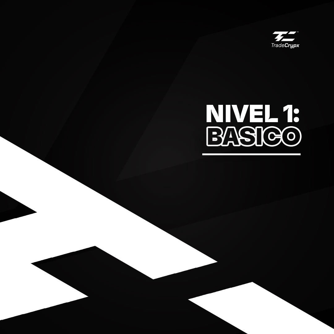 Nivel 1 — Básico